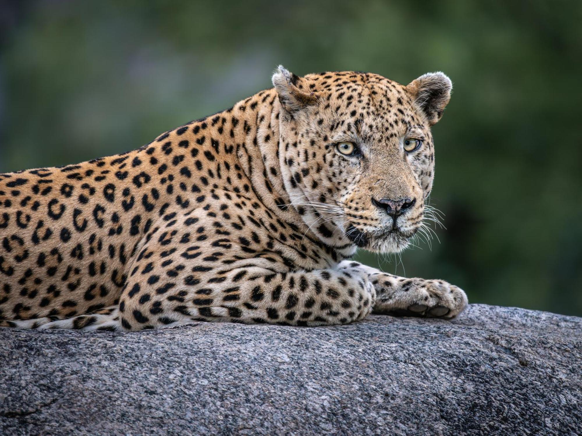 Nyati Safari Lodge Hoedspruit Exteriér fotografie